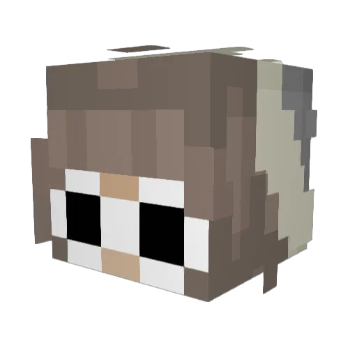 saarah7 Minecraft avatar head, 3D render