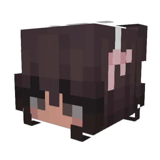 sabannuh Minecraft avatar head, 3D render