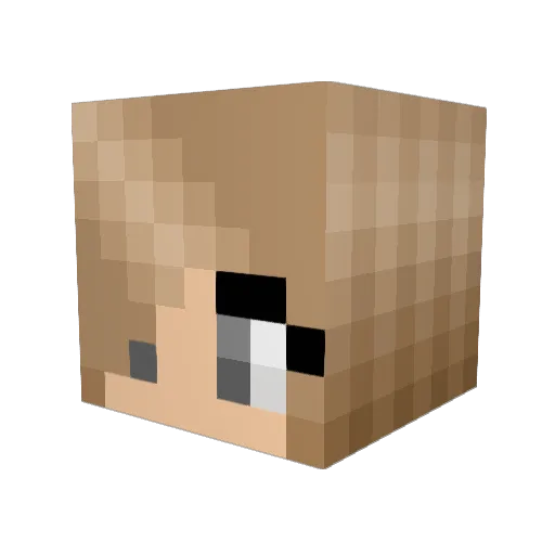 sabbath27 Minecraft avatar head, 3D render