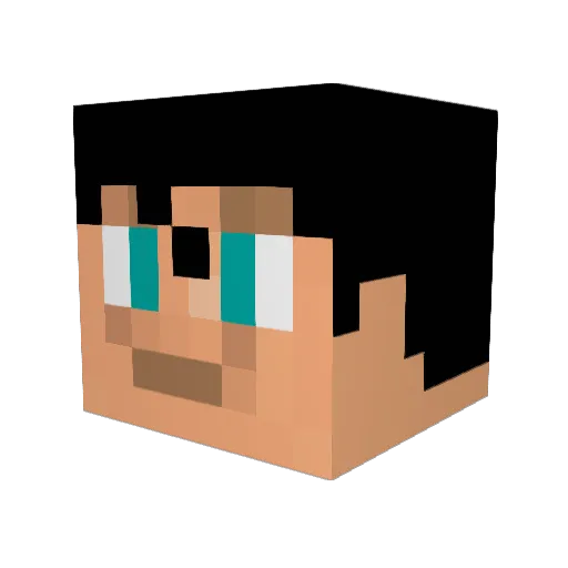 sabi10 Minecraft avatar head, 3D render