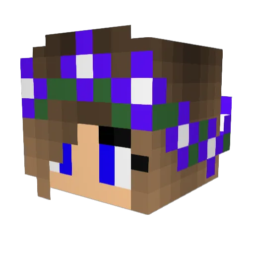 sabiL14 Minecraft avatar head, 3D render