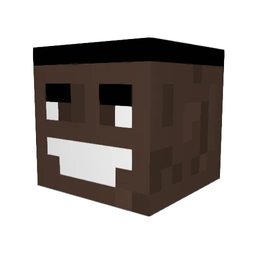 sabinimax Minecraft avatar head, 3D render