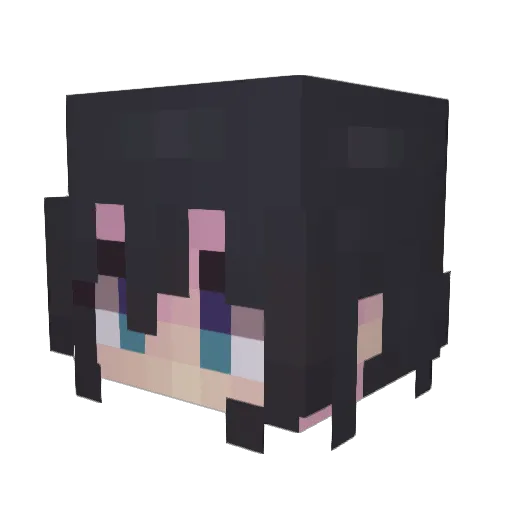 sabishLucas Minecraft avatar head, 3D render