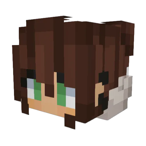 sabman06 Minecraft avatar head, 3D render