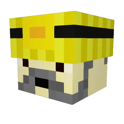 sabretooth55 Minecraft avatar head, 3D render