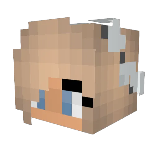 sabrinab12 Minecraft avatar head, 3D render