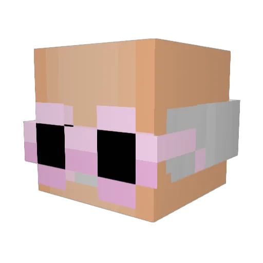 sachaaaaaaa Minecraft avatar head, 3D render