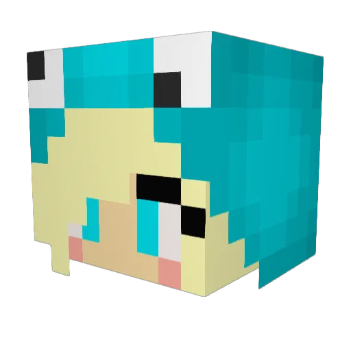 sacjkc Minecraft avatar head, 3D render