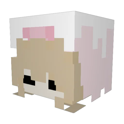 sackeb10 Minecraft avatar head, 3D render
