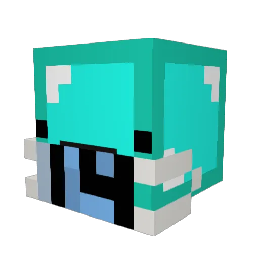 sacredcashew784 Minecraft avatar head, 3D render