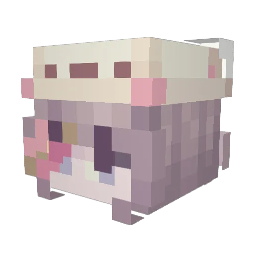 sacssca Minecraft avatar head, 3D render