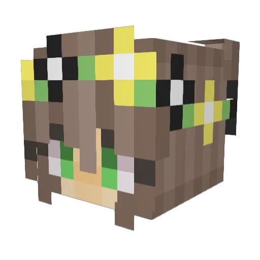 sad9 Minecraft avatar head, 3D render