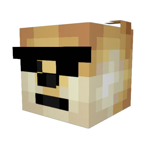 sadSqurtle Minecraft avatar head, 3D render