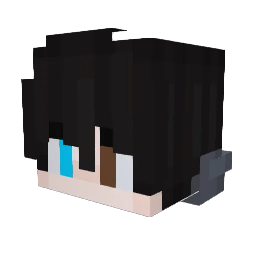 sad_salad_jj Minecraft avatar head, 3D render
