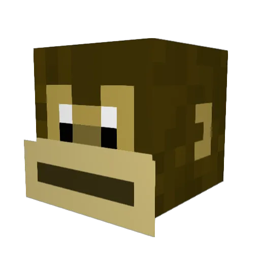 sad_wet_sock Minecraft avatar head, 3D render