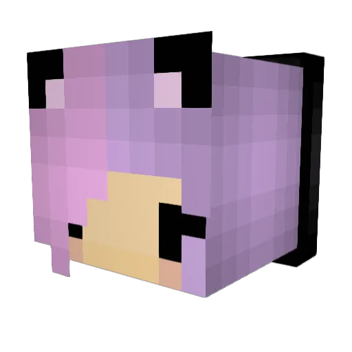 sad_yeehaw69 Minecraft avatar head, 3D render