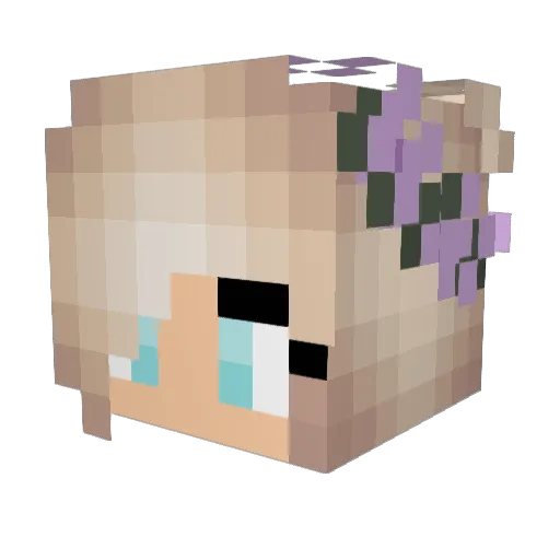 sadahlen Minecraft avatar head, 3D render