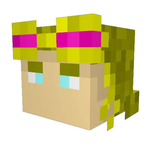 sadbatty Minecraft avatar head, 3D render