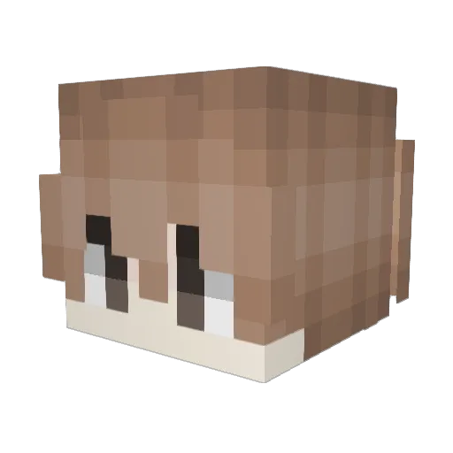 sadbob2016 Minecraft avatar head, 3D render