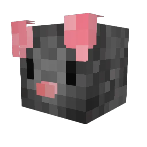 sadbrody Minecraft avatar head, 3D render
