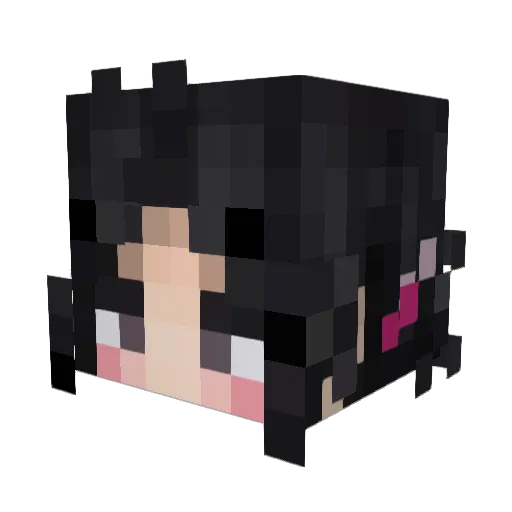 sadbruh Minecraft avatar head, 3D render