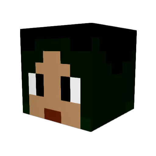 sadcatlady Minecraft avatar head, 3D render