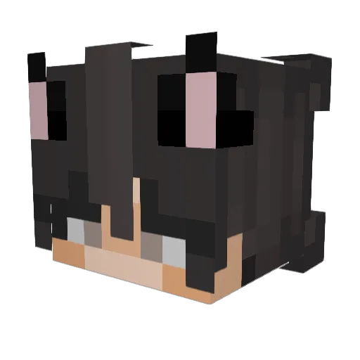 sadcats Minecraft avatar head, 3D render