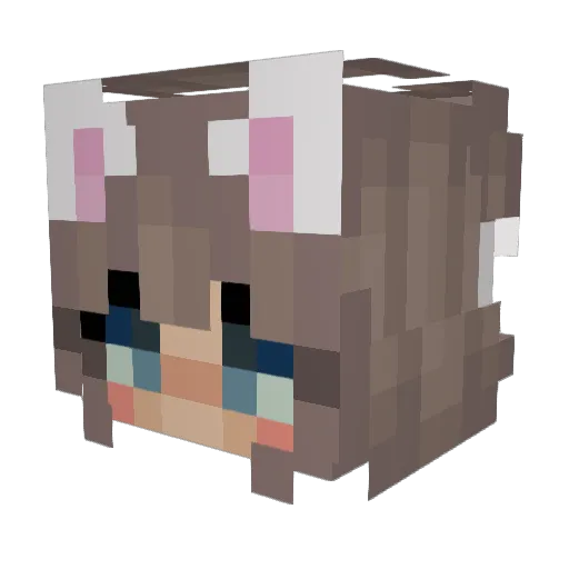 sadcuteegirl Minecraft avatar head, 3D render