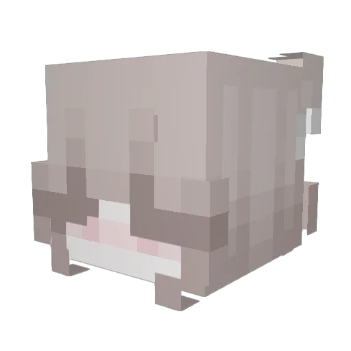 sade13 Minecraft avatar head, 3D render