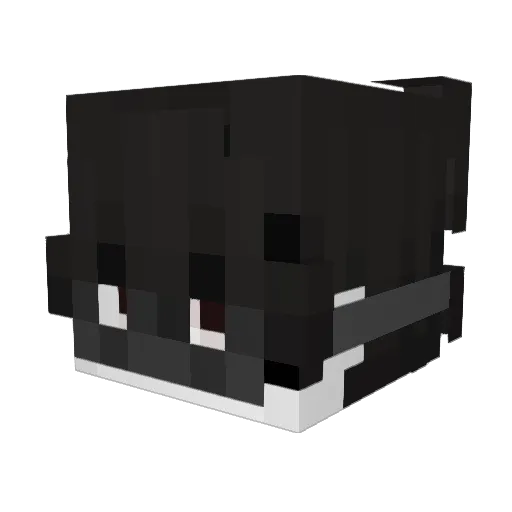 saders_gaming Minecraft avatar head, 3D render