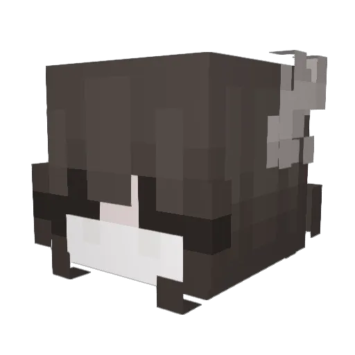 sadiebuggie Minecraft avatar head, 3D render