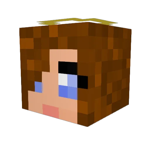 sadiepoo Minecraft avatar head, 3D render