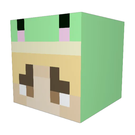 sadkook Minecraft avatar head, 3D render