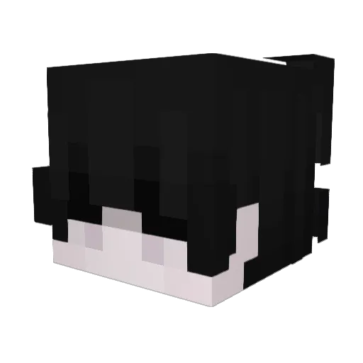 sadlostboy294 Minecraft avatar head, 3D render