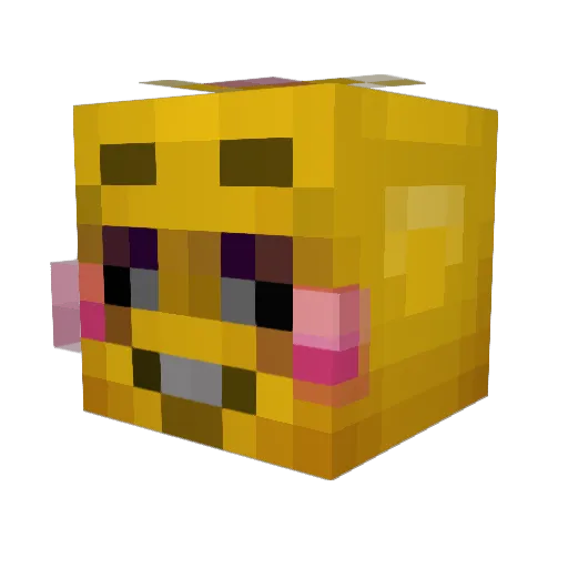 sadpixies Minecraft avatar head, 3D render