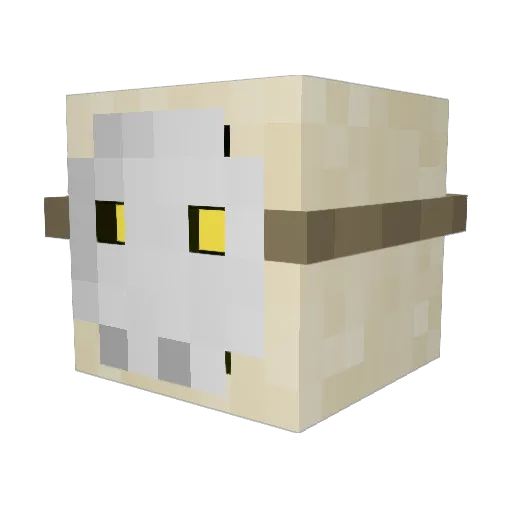 sadsbot Minecraft avatar head, 3D render