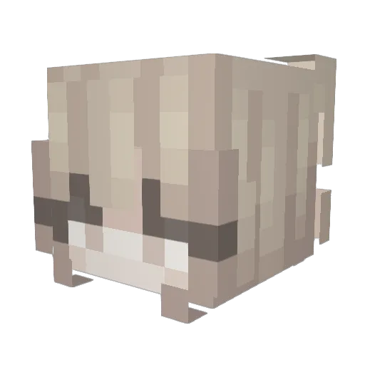 saeiscool Minecraft avatar head, 3D render