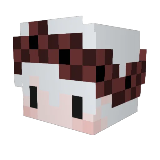 saemuel Minecraft avatar head, 3D render