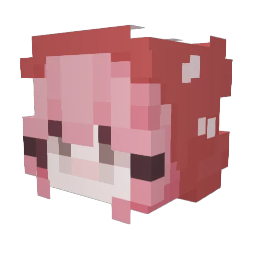 saere_ Minecraft avatar head, 3D render