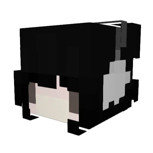 saetins Minecraft avatar head, 3D render