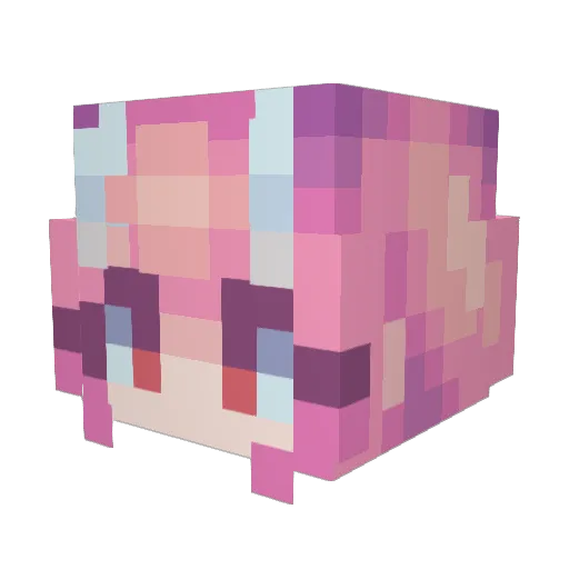 saf1tking Minecraft avatar head, 3D render