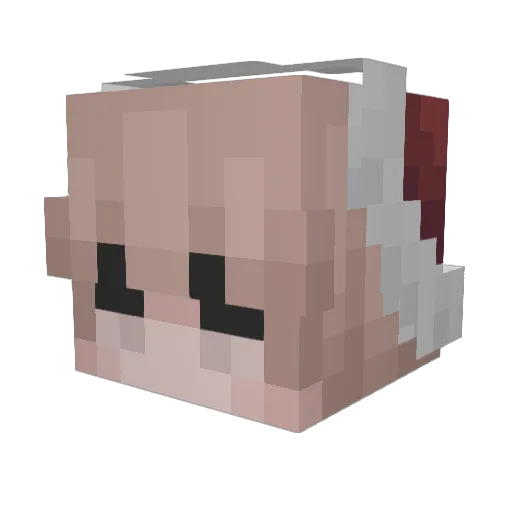 safespider Minecraft avatar head, 3D render