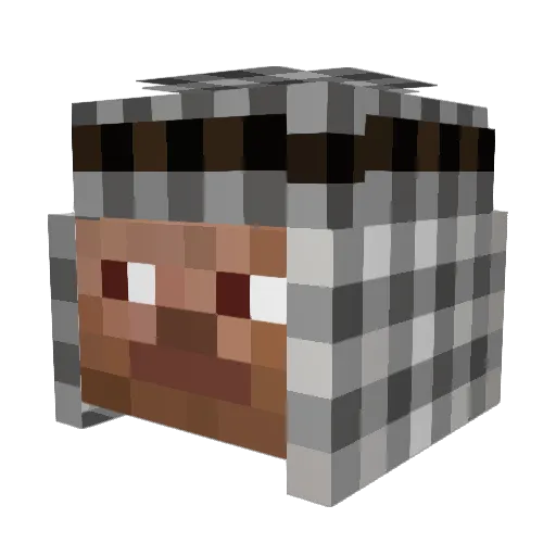 saff_isthe_bomb Minecraft avatar head, 3D render