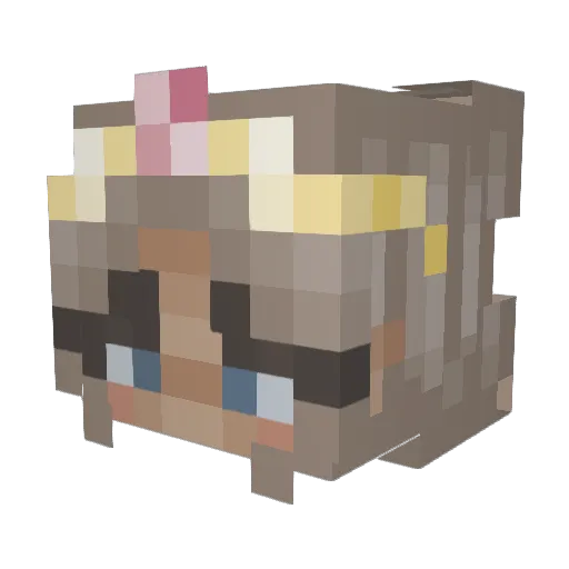 safflewaffle Minecraft avatar head, 3D render