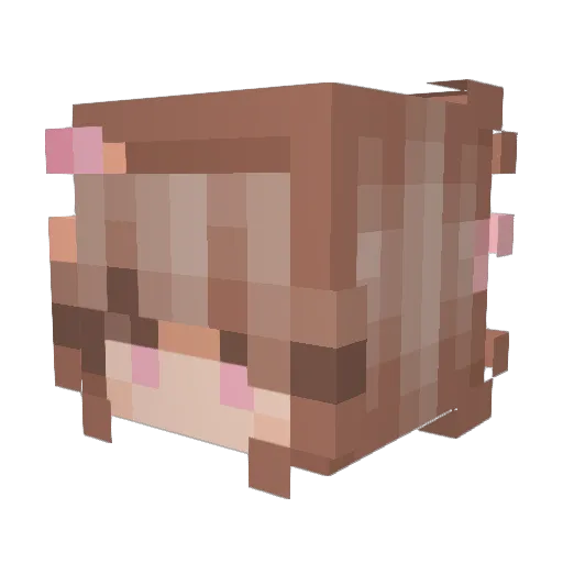 sagdeer787 Minecraft avatar head, 3D render