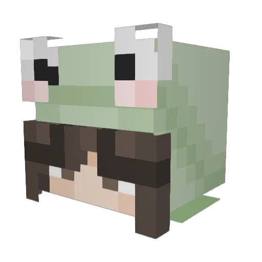 sage_33103 Minecraft avatar head, 3D render