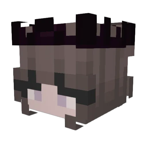 sage_lmao4 Minecraft avatar head, 3D render