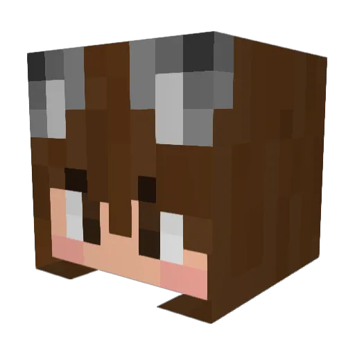 sageatx Minecraft avatar head, 3D render