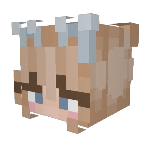 sageee3 Minecraft avatar head, 3D render
