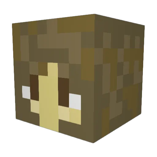sageical Minecraft avatar head, 3D render